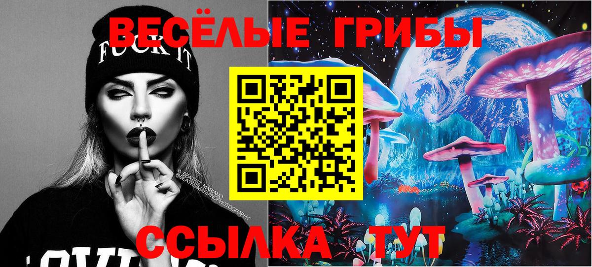 Галлюциногенные грибы ЛСД Кохма