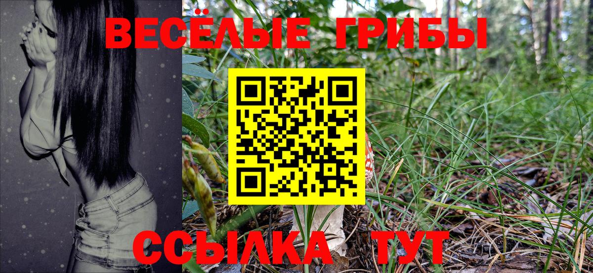 Кохма  купить  цена  Псилоцибиновые грибы Magic Shrooms  Вход с VPN  Псилоцибиновые грибы Psilocybe 